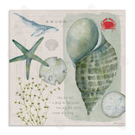 Stephanie Workman Marrott | Sea Shell Inspirational Collage
