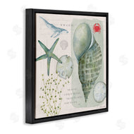 Stephanie Workman Marrott | Sea Shell Inspirational Collage