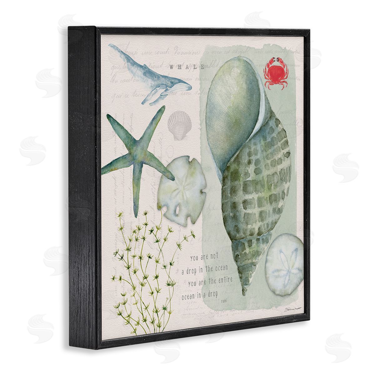 Sea Shell Inspirational Collage Black Frame Print Wall Art, Home Decor by Stephanie Workman Marrott