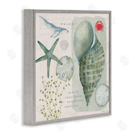 Stephanie Workman Marrott | Sea Shell Inspirational Collage