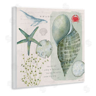 Stephanie Workman Marrott | Sea Shell Inspirational Collage
