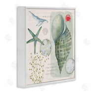 Stephanie Workman Marrott | Sea Shell Inspirational Collage