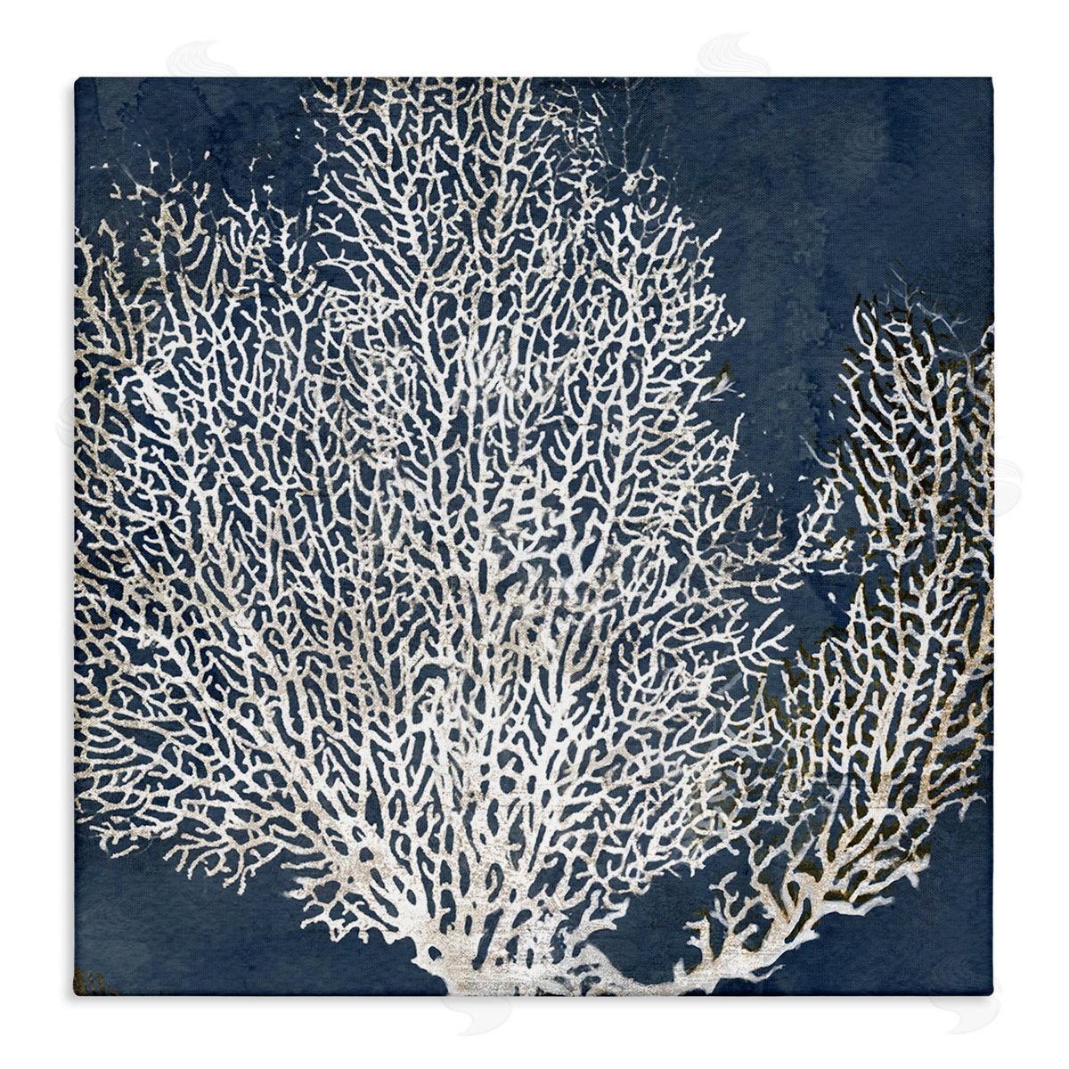 Sea Coral Ocean Life Silhouette Canvas Wall Art, Home Decor by Main Line Studio