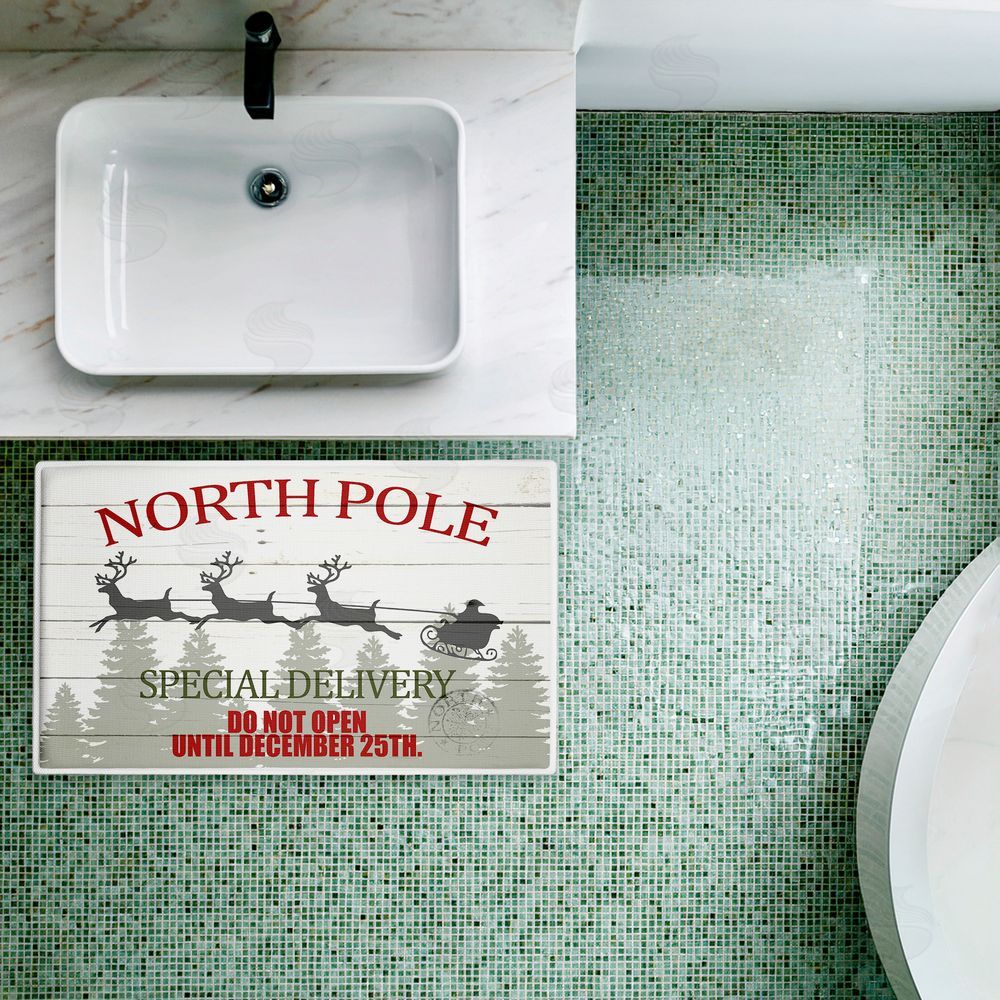 Kim Allen Special Delivery Holiday Sleigh Plush Bathroom Floor Mat