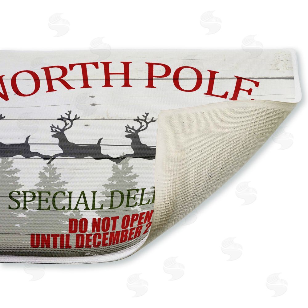 Kim Allen Special Delivery Holiday Sleigh Plush Bathroom Floor Mat