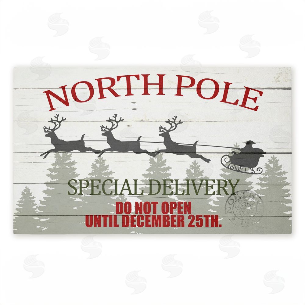 Kim Allen Special Delivery Holiday Sleigh Unwoven Outdoor Door Mat