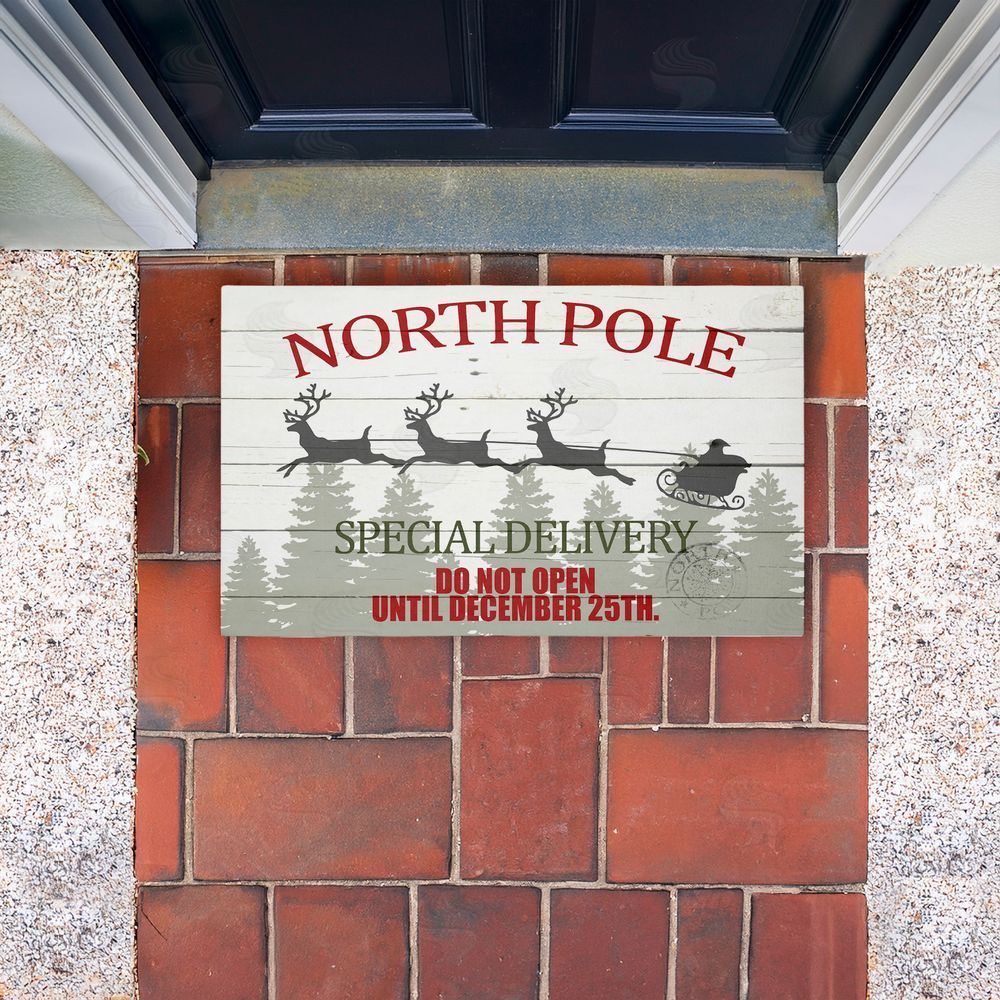 Kim Allen Special Delivery Holiday Sleigh Unwoven Outdoor Door Mat