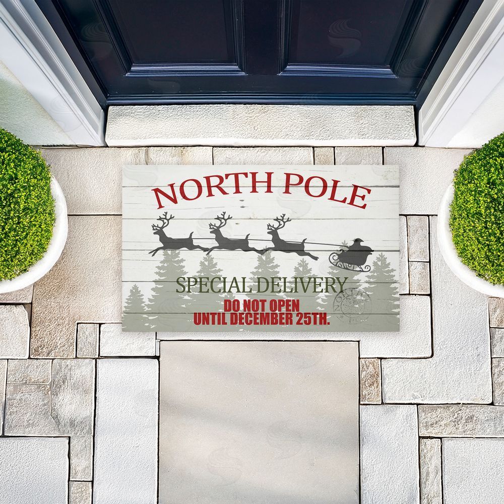 Kim Allen Special Delivery Holiday Sleigh Unwoven Outdoor Door Mat