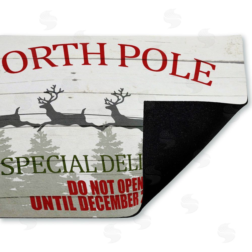 Kim Allen Special Delivery Holiday Sleigh Unwoven Outdoor Door Mat