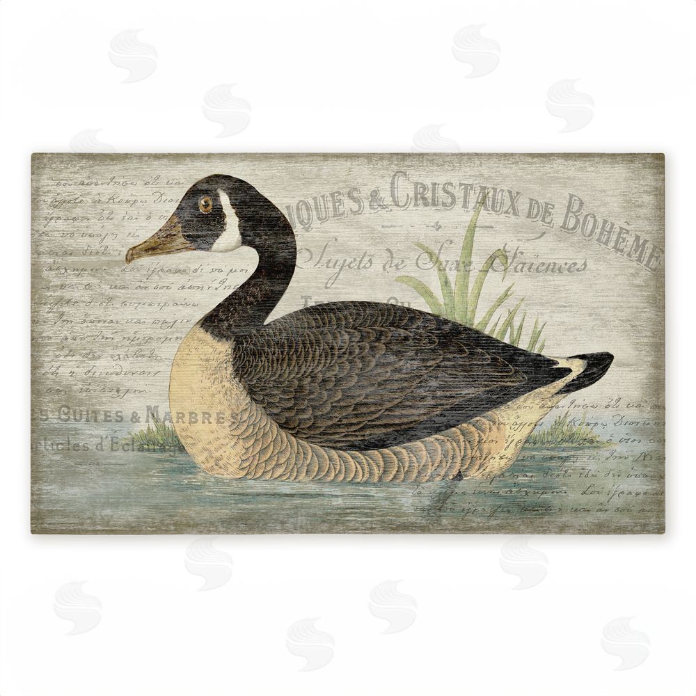 Suzanne Nicoll French Goose Vintage Motif Unwoven Outdoor Door Mat