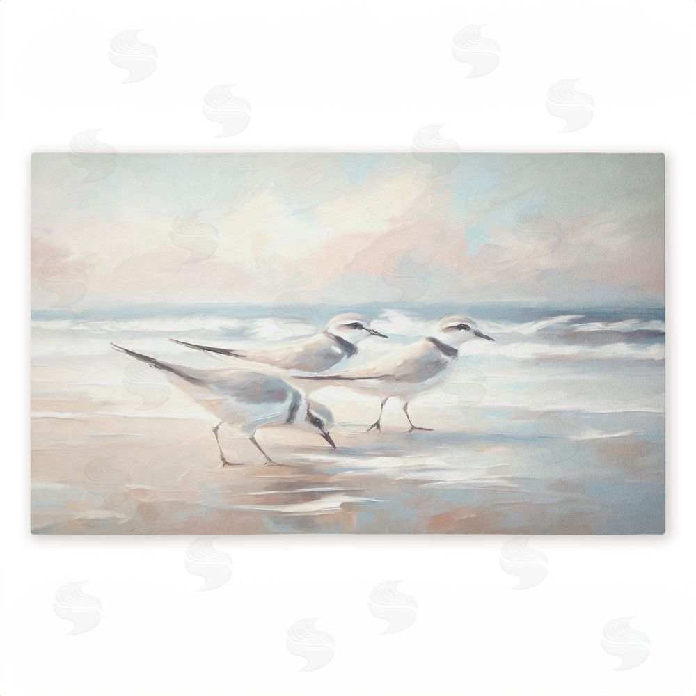 Ramona Murdock Blue Haven Bay Sandpipers Unwoven Outdoor Door Mat