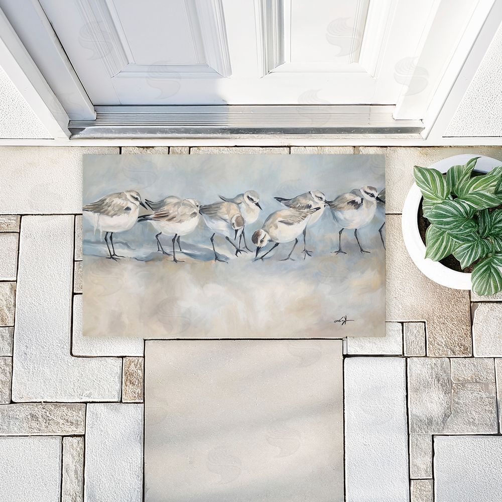 Ramona Murdock Shore Birds In A Line Unwoven Outdoor Door Mat