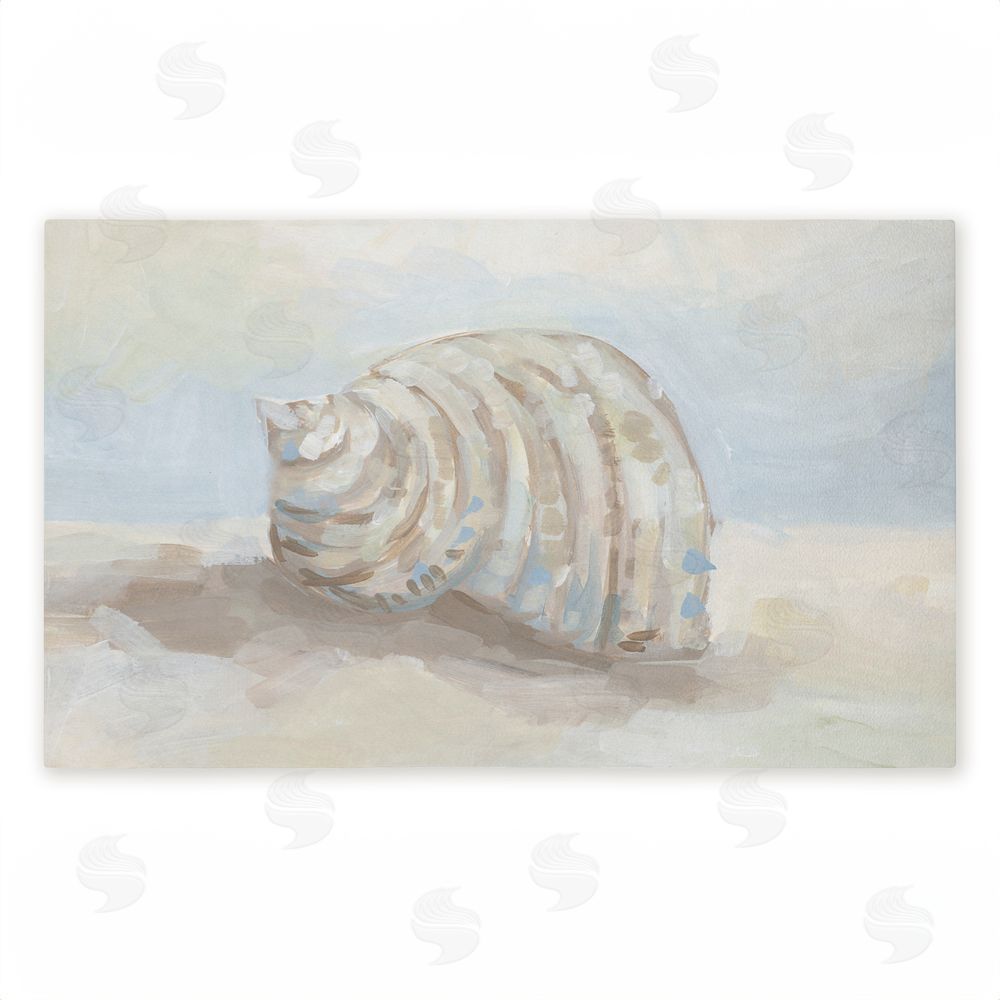 JJ Design House LLC Rounded Seashell on Shore Unwoven Outdoor Door Mat