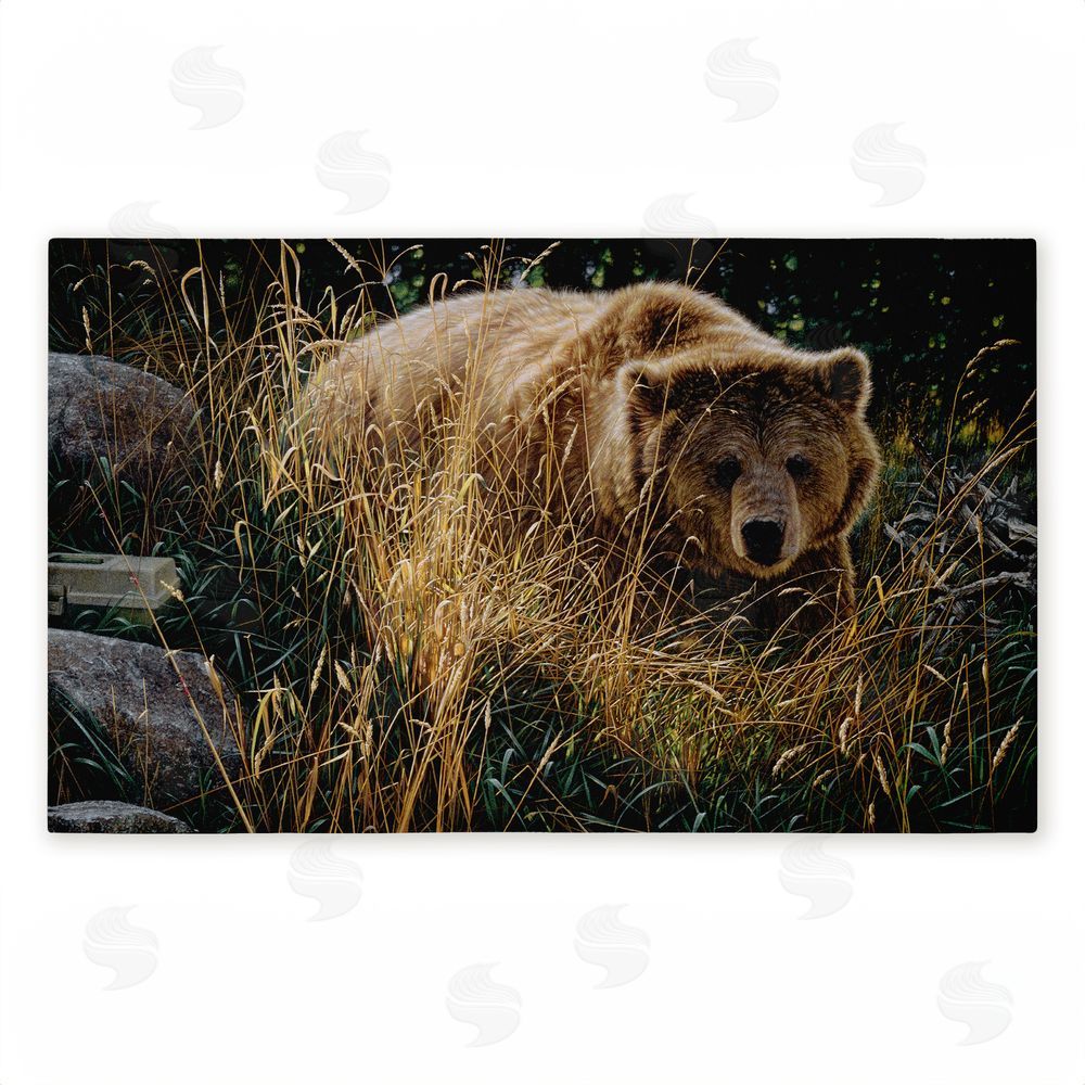 Collin Bogle Crossing Paths Brown Bear Unwoven Outdoor Door Mat