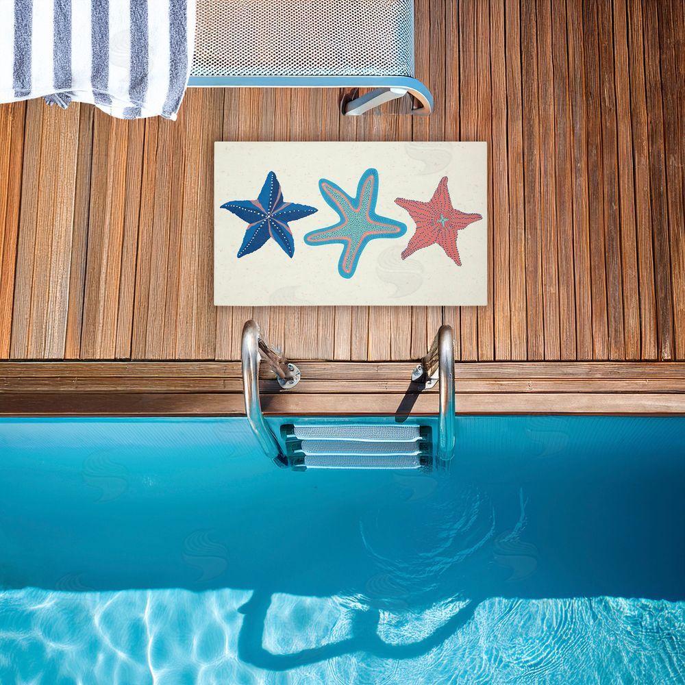 Darlene Seale Coastal Americana Starfish Unwoven Outdoor Door Mat