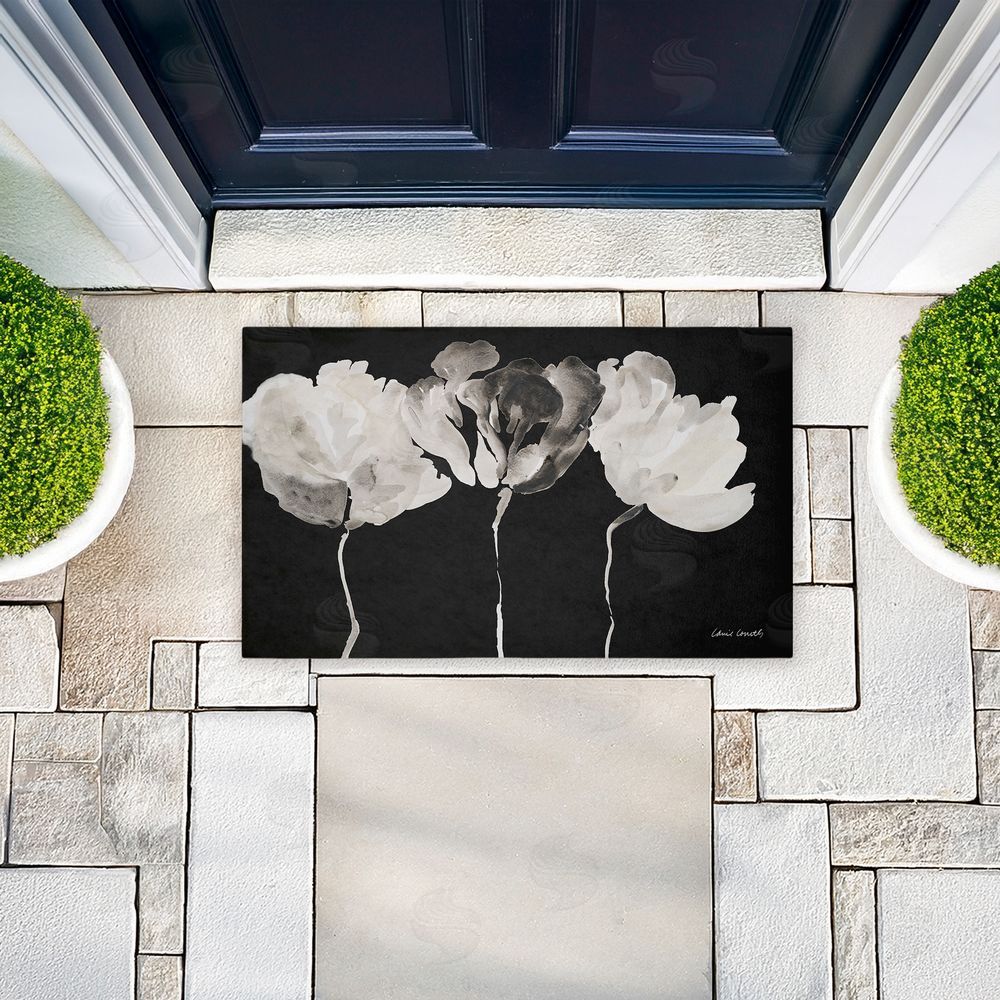 Lanie Loreth Trio in Light on Black Unwoven Outdoor Door Mat