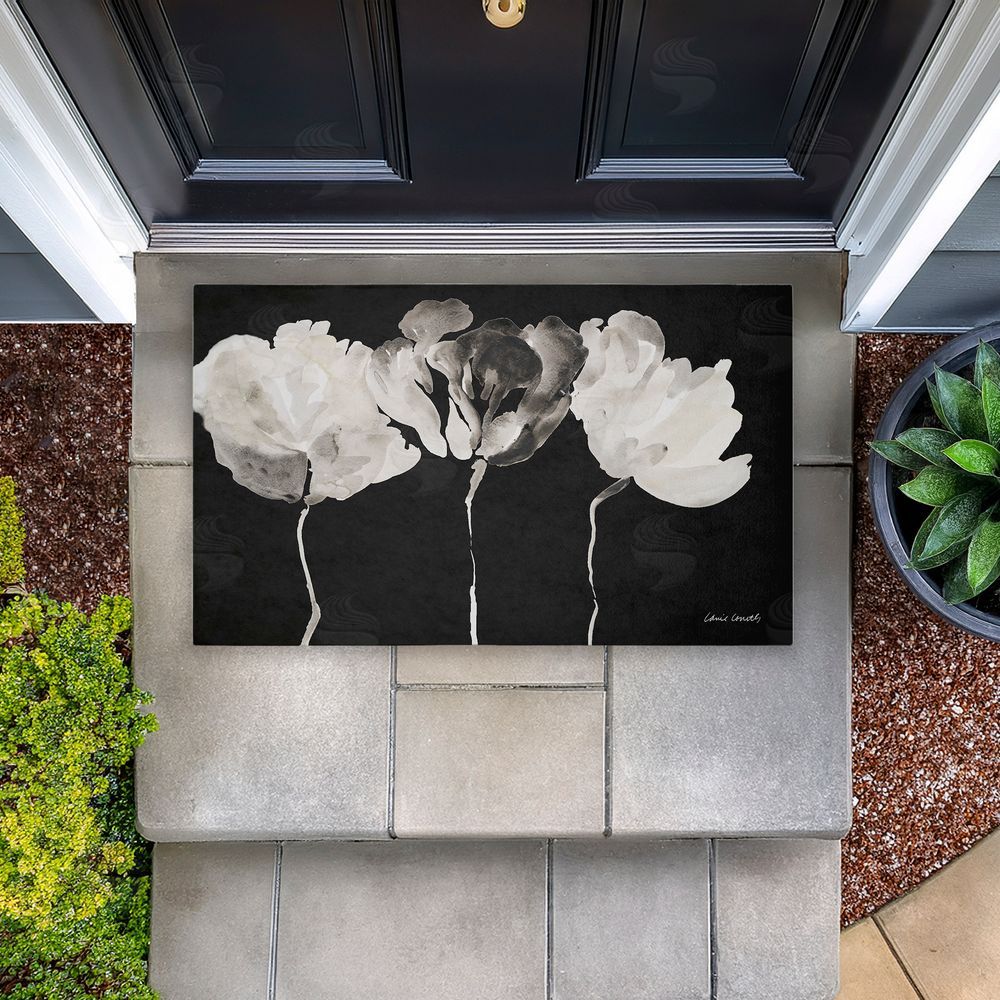 Lanie Loreth Trio in Light on Black Unwoven Outdoor Door Mat
