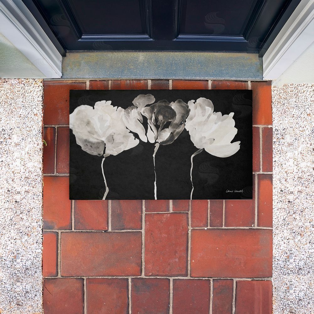 Lanie Loreth Trio in Light on Black Unwoven Outdoor Door Mat