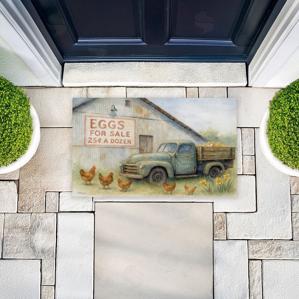 Antony Smith Eggs For Sale Farmhouse Unwoven Outdoor Door Mat