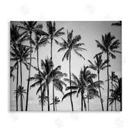 Design Fabrikken | Black & White Palm Trees Skyline