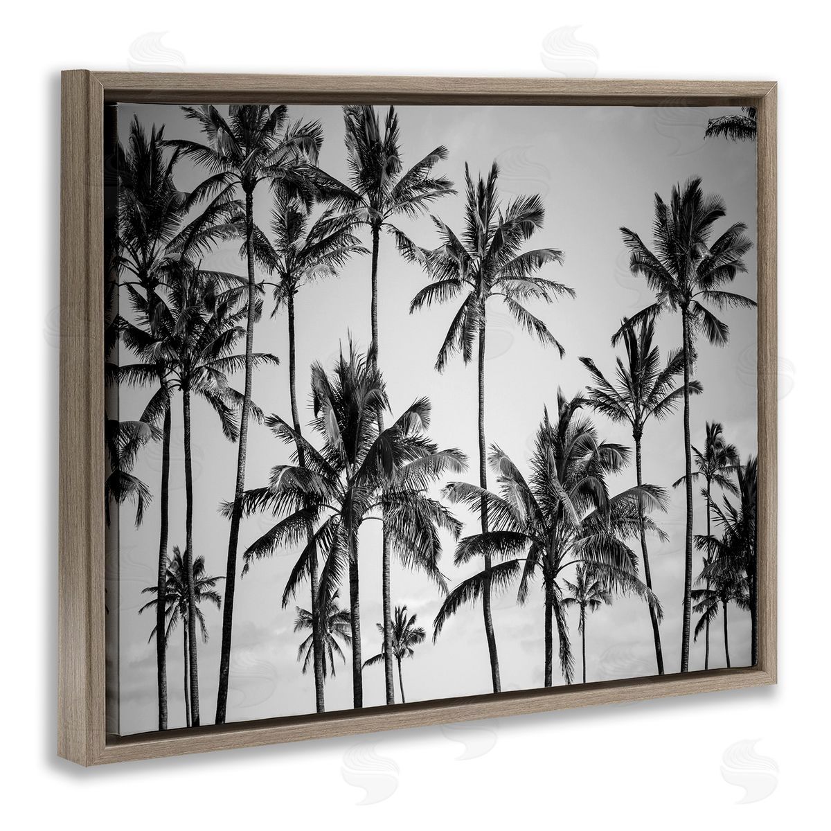 Black & White Palm Trees Skyline Brown Floating Frame Canvas Wall Art, Home Decor by Design Fabrikken