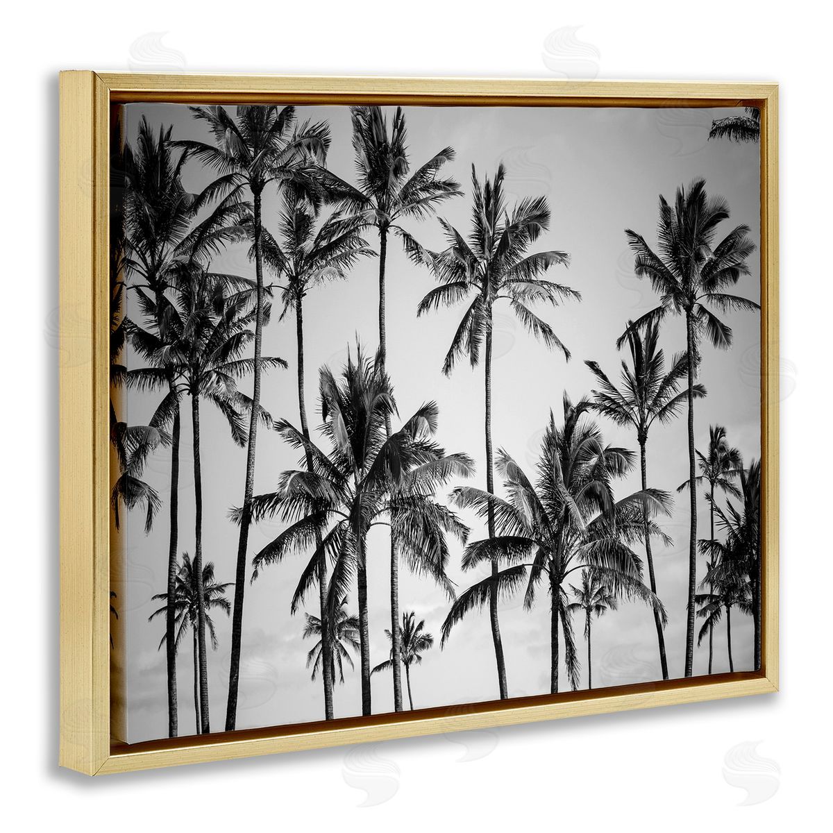 Black & White Palm Trees Skyline Gold Floating Frame Canvas Wall Art, Home Decor by Design Fabrikken