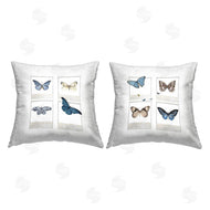 Karen Smith | Various Butterflies Camera Film