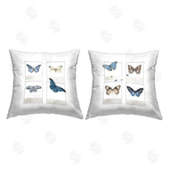 Karen Smith | Various Butterflies Camera Film