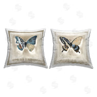 Stacy Daguiar | Vintage Butterfly Specimens