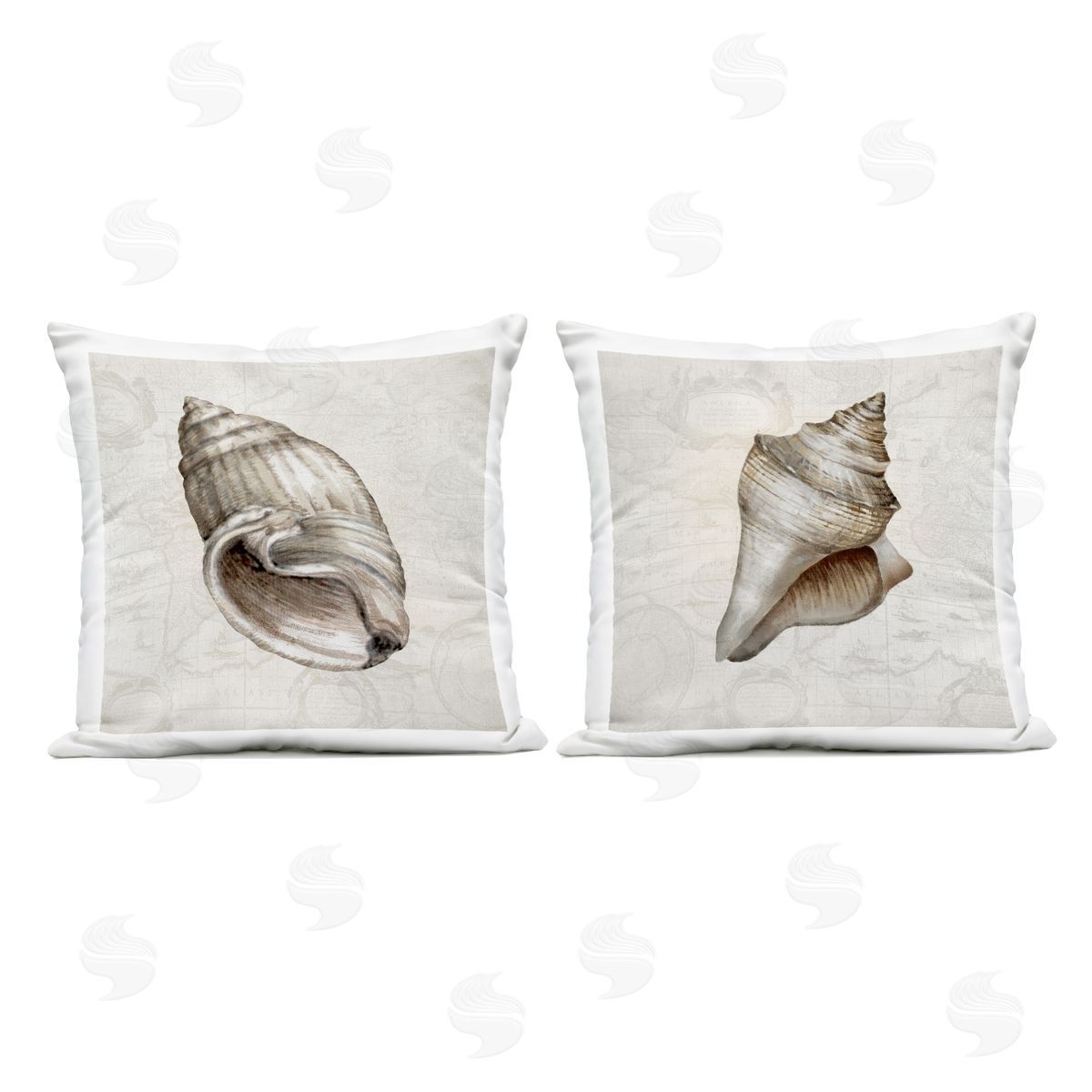 Conrad Knutsen | Seashells over Vintage Map