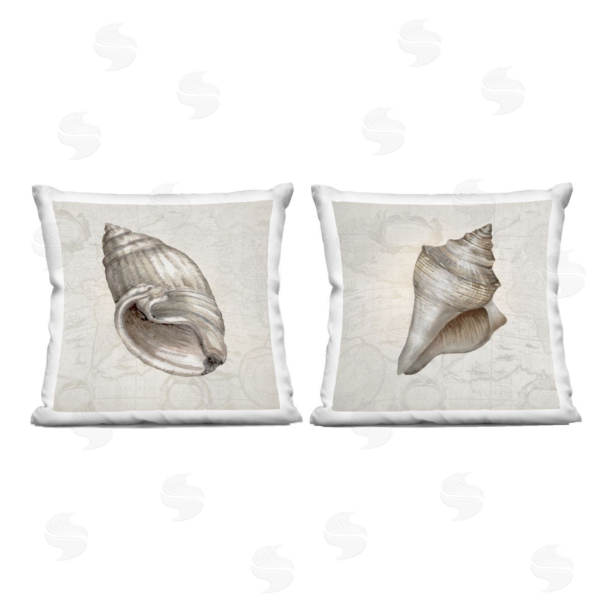 Conrad Knutsen | Seashells over Vintage Map