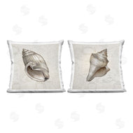Conrad Knutsen | Seashells over Vintage Map