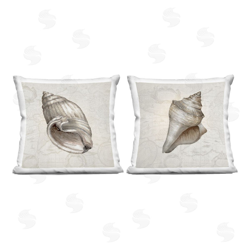 Conrad Knutsen | Seashells over Vintage Map