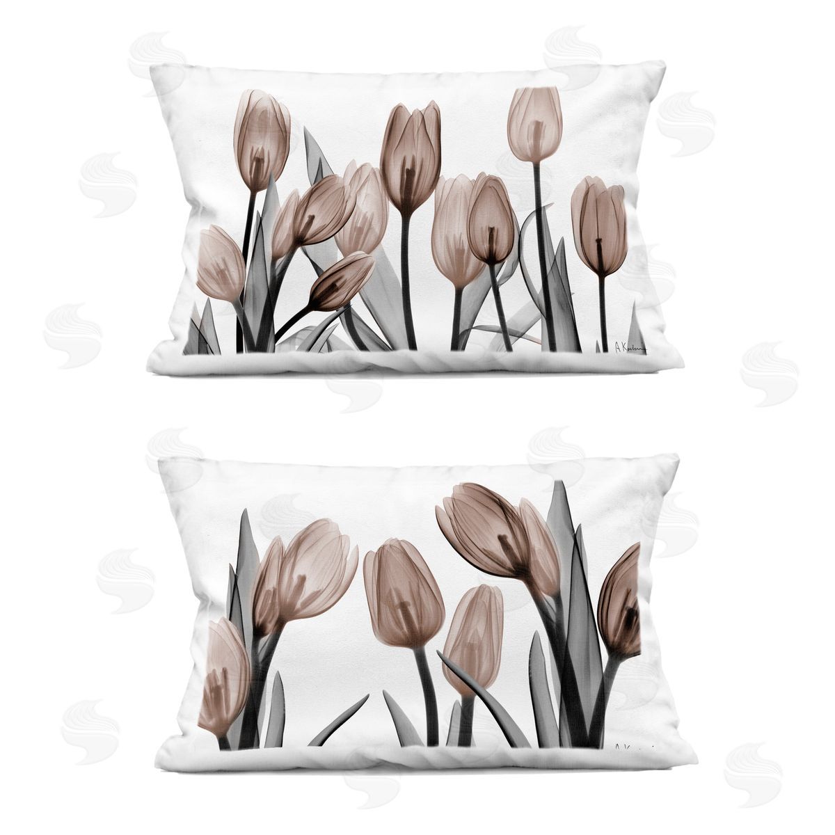 Albert Koetsier | Translucent Tulips in Mocha