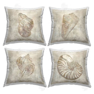 Carol Robinson | Vintage Nautilus Seashells Soft Brown Natural Pattern