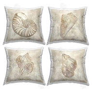 Carol Robinson | Vintage Nautilus Seashells Soft Brown Natural Pattern