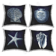Carol Robinson | Nautical Blue Ocean Shells Starfish Sand Dollar