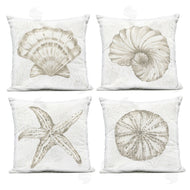 Yvette St. Amant | Neutral Coastal Reef Shells