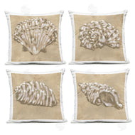 June Erica Vess | Seashells in Earth Tones