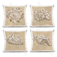 June Erica Vess | Seashells in Earth Tones