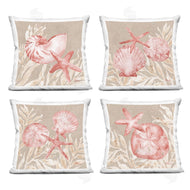 Paul Brent | Tampico Shells in Peach