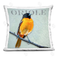 Alpenglow Workshop | Perched Oriole Bird Wildlife Animal