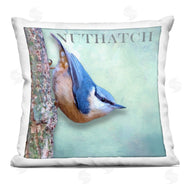 Alpenglow Workshop | Blue Nuthatch Bird Woodland Nature