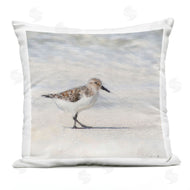 Denise Brown | Sandpiper Bird Stepping Summer Beach Shoreline