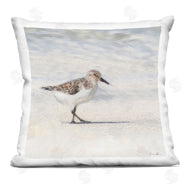 Denise Brown | Sandpiper Bird Stepping Summer Beach Shoreline