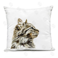 Victoria Barnes | Fluffy Tabby Cat Gazing Casual Portrait