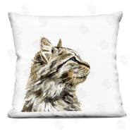 Victoria Barnes | Fluffy Tabby Cat Gazing Casual Portrait