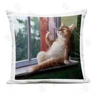 Lucia Heffernan | Tabby Cat Relaxing Lounging Daytime Windowsill