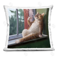 Lucia Heffernan | Tabby Cat Relaxing Lounging Daytime Windowsill