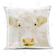 Kim Allen | Close Up Soft White Cattle Portrait